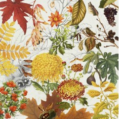Fototapet Botanical Gardens Autumn, personalizat, Photowall
