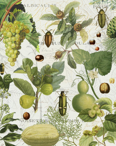 Tapet cu design botanistic vintage, cu plante și insecte, pentru decorarea interiorului