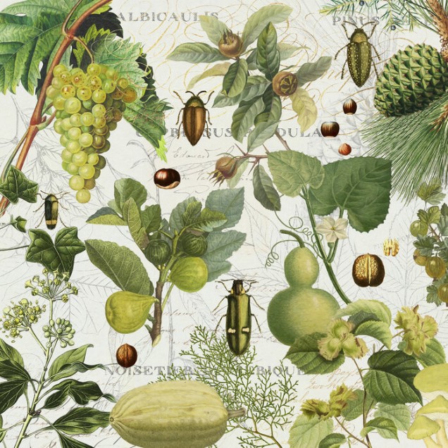Tapet cu design botanistic vintage, cu plante și insecte, pentru decorarea interiorului