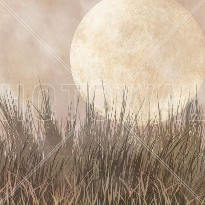Tapet Moonlight Weeds II, tapet decorativ cu design modern și elegant, cu aspect natural, perfect pentru living, dormitor sau birou.
