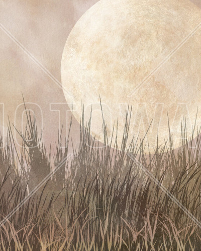 Tapet Moonlight Weeds II, tapet decorativ cu design modern și elegant, cu aspect natural, perfect pentru living, dormitor sau birou.