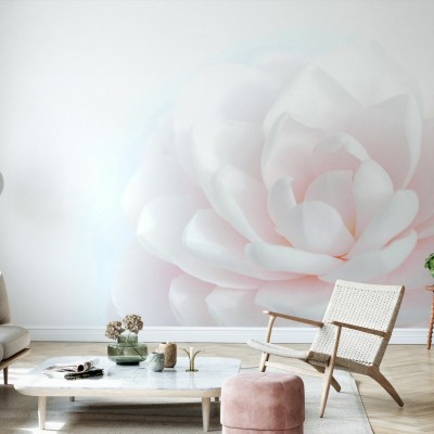 Tapet cu o floare roz pastelata, ideal pentru decorarea livingului sau dormitorului.