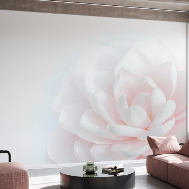 Tapet cu o floare roz pastelata, ideal pentru decorarea livingului sau dormitorului.