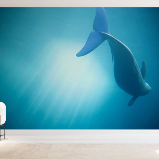 Imaginea wallpaper-ului cu o balena in ape turcoaz