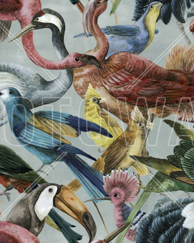 Tapet Bird Bonanza, cu un model de păsări colorate pe un fundal gri deschis.