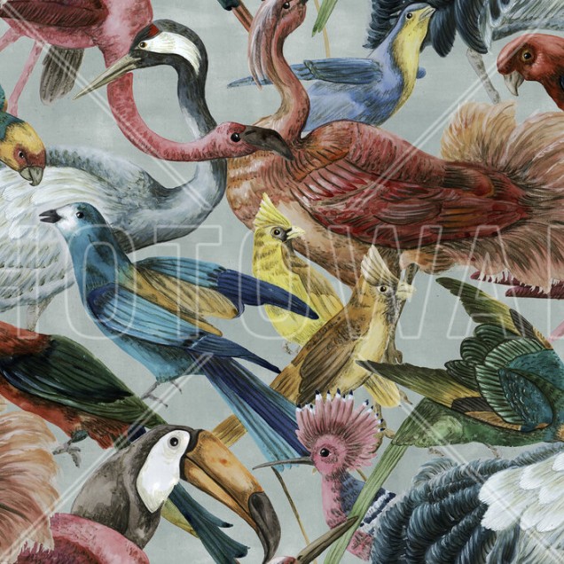 Tapet Bird Bonanza, cu un model de păsări colorate pe un fundal gri deschis.