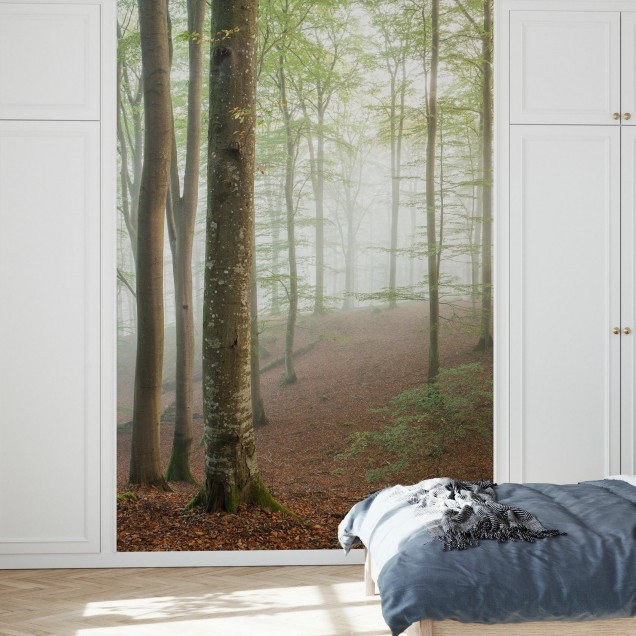 Tapet cu imagine a unei păduri de fag suedeze