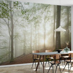 Fototapet Swedish Beech Forest II, Personalizat, Photowall
