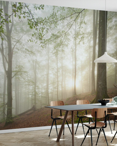 Tapet cu design forestier Swedish Beech Forest II, care prezintă o pădure de fag cu raze de soare care străbat prin copaci și ceață.