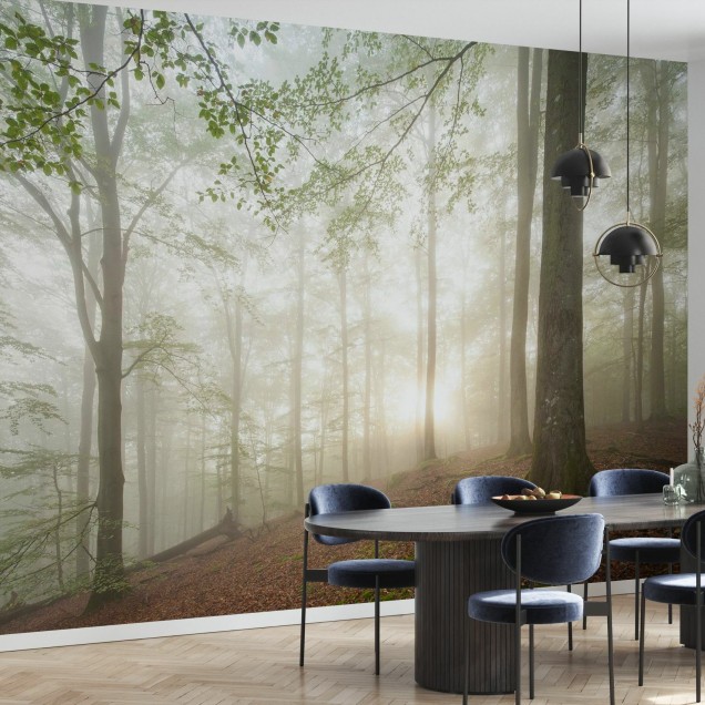Tapet cu design forestier Swedish Beech Forest II, care prezintă o pădure de fag cu raze de soare care străbat prin copaci și ceață.