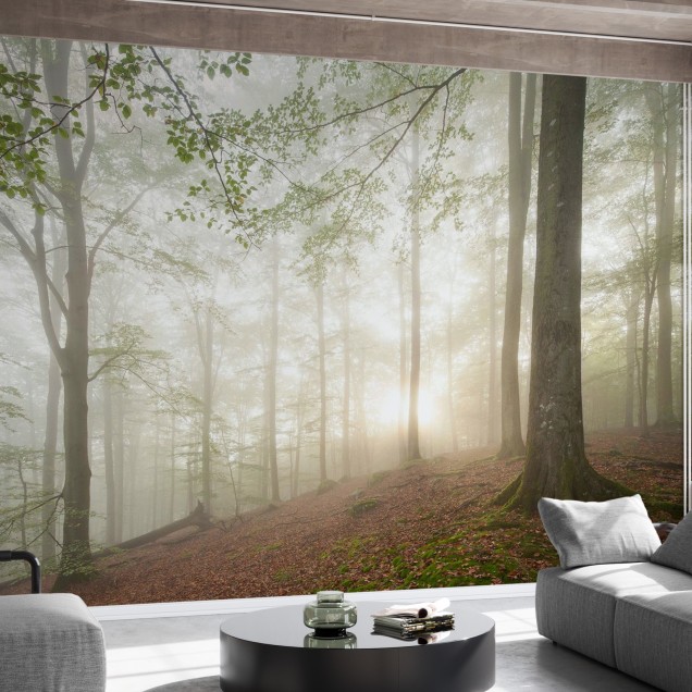Tapet cu design forestier Swedish Beech Forest II, care prezintă o pădure de fag cu raze de soare care străbat prin copaci și ceață.