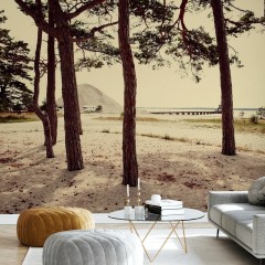 Fototapet Caravan and Pines in Gotland, Sweden, Europe, Personalizat, Photowall