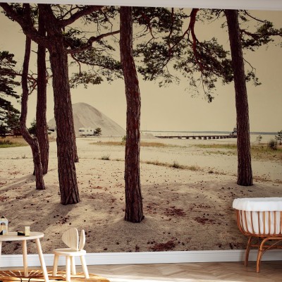 Fototapet Caravan and Pines in Gotland, Sweden, Europe, Personalizat, Photowall, Fototapet living 
