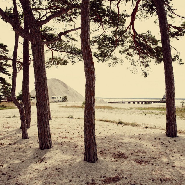 Tapet cu imagine a unei caravane și pini în Gotland, Suedia
