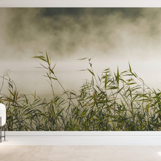 Decor de perete cu o imagine a unei câmpii cu stuf, acoperite de o ceață ușoară. Imaginea este decorată cu un fundal verde și stuf verde.