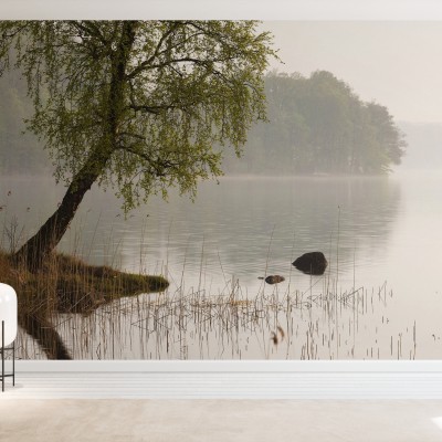 Fototapet Tree at Swedish Lake, Personalizat, Photowall, Fototapet living 