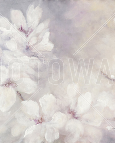 Cherry Blossoms Painting, Photowall. Tapet de perete cu flori roz.