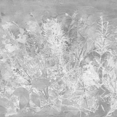 Fototapet cu design floral in nuante de gri, ideal pentru un decor interior modern și elegant.