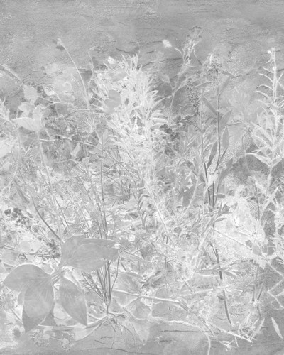Fototapet cu design floral in nuante de gri, ideal pentru un decor interior modern și elegant.