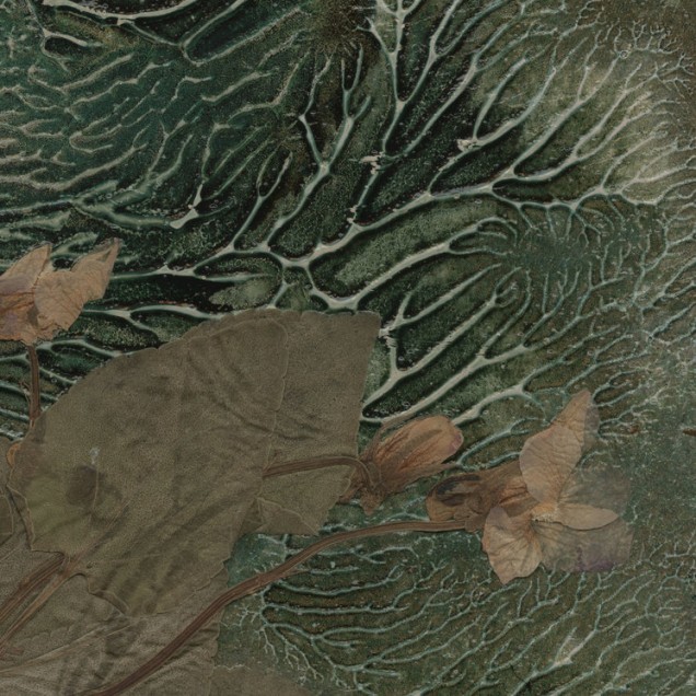 Tapet cu design floral, cu plante uscate pe un fundal verde-albastru.