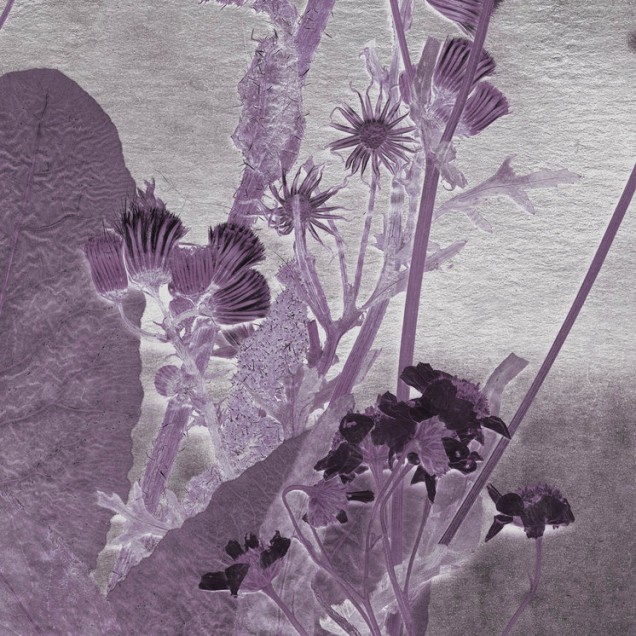 Wallpaper cu motive florale delicate în nuanțe de violet