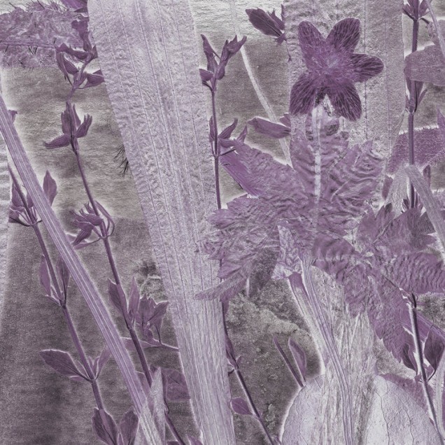 Wallpaper cu motive florale delicate în nuanțe de violet