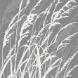 Fototapet Grass, Grey, Photowall