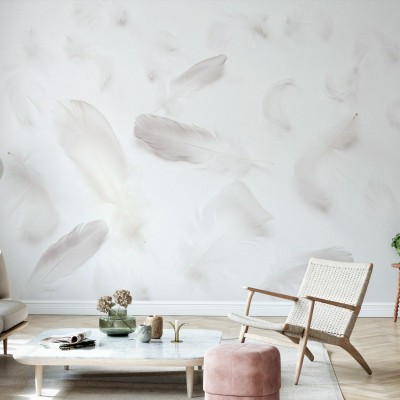 Imagine de fundal cu pene delicate Flying Feathers II in living