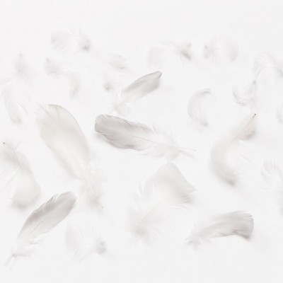 Imagine de fundal cu pene delicate Flying Feathers II in living