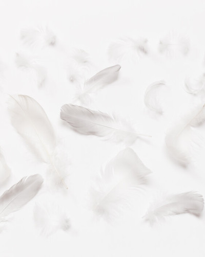Imagine de fundal cu pene delicate Flying Feathers II in living