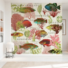 Fototapet Red Coral and Fish, personalizat, Photowall