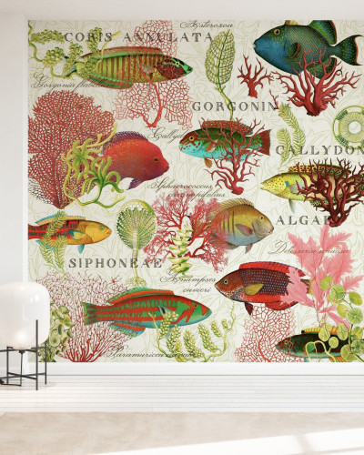 Tapet Red Coral and Fish cu corali roșii vibranți și pești multicolori.