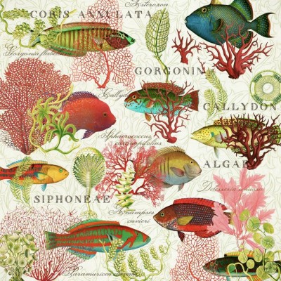 Tapet Red Coral and Fish cu corali roșii vibranți și pești multicolori.