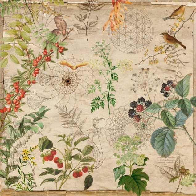 Tapet floral cu accente geometrice, ideal pentru a decora un living sau un dormitor.