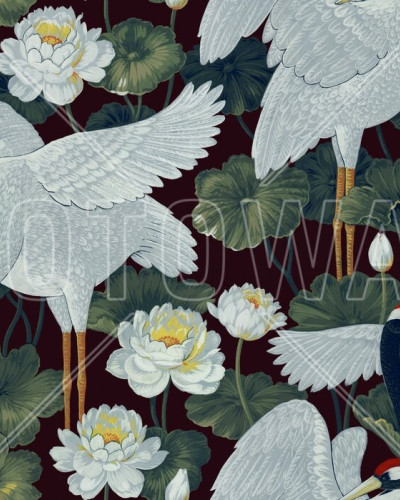 Fototapet cu macarale albe si flori de lotus