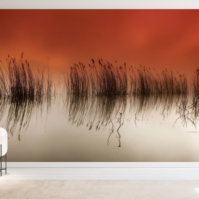 Fototapet Serenity cu un apus de soare rosu si trestii reflectate pe apa