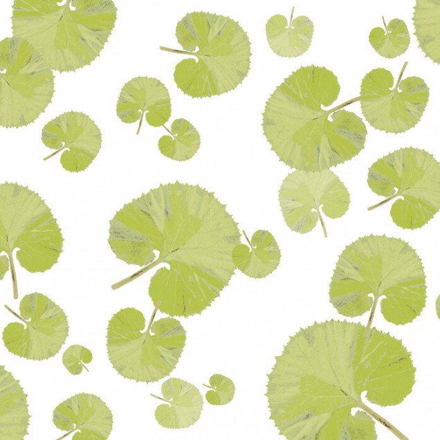 Wallpaper cu frunze verzi pe fond alb, in living
