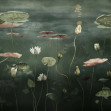 Below the Surface, Photowall