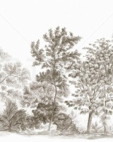 Away From The Trail, Antique Taupe, Photowall