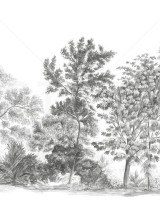 Away From The Trail, Elegant Grey, Photowall