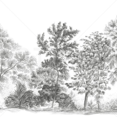 Tapet cu design elegant, în tonuri de gri, reprezentând o scenă liniștitoare a naturii, cu copaci desenati în creion pe un fundal alb.