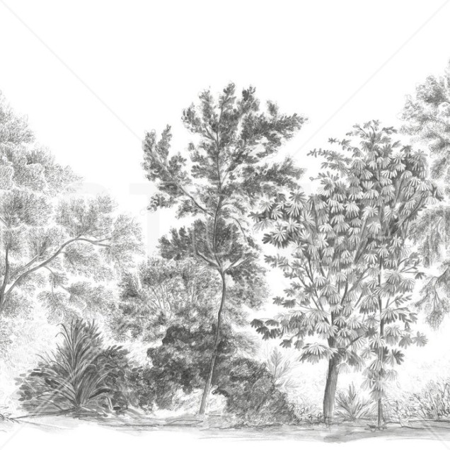 Tapet cu design elegant, în tonuri de gri, reprezentând o scenă liniștitoare a naturii, cu copaci desenati în creion pe un fundal alb.