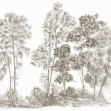 Fototapet Away From The Trail, Antique Taupe - Panorama, Photowall