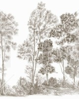 Away From The Trail, Antique Taupe - Panorama, Photowall