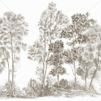 Tapet Away From The Trail, Antique Taupe - Panorama
