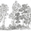 Fototapet Away From The Trail, Elegant Grey - Panorama, Photowall