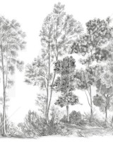 Away From The Trail, Elegant Grey - Panorama, Photowall