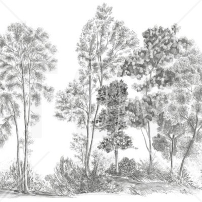 Tapet modern cu design de arbori in gri