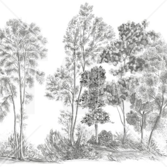 Tapet modern cu design de arbori in gri