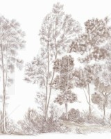 Away From The Trail, Velvet Taupe - Panorama, Photowall